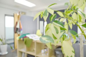 カラー診断を行う場所